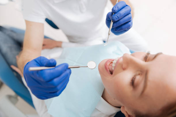  River Heights, UT Holistic Dental Services Pros